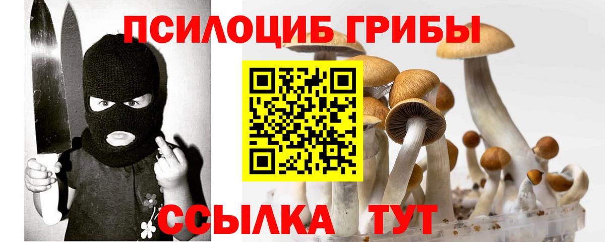 Псилоцибиновые грибы Psilocybe  Вход с VPN  Елабуга 