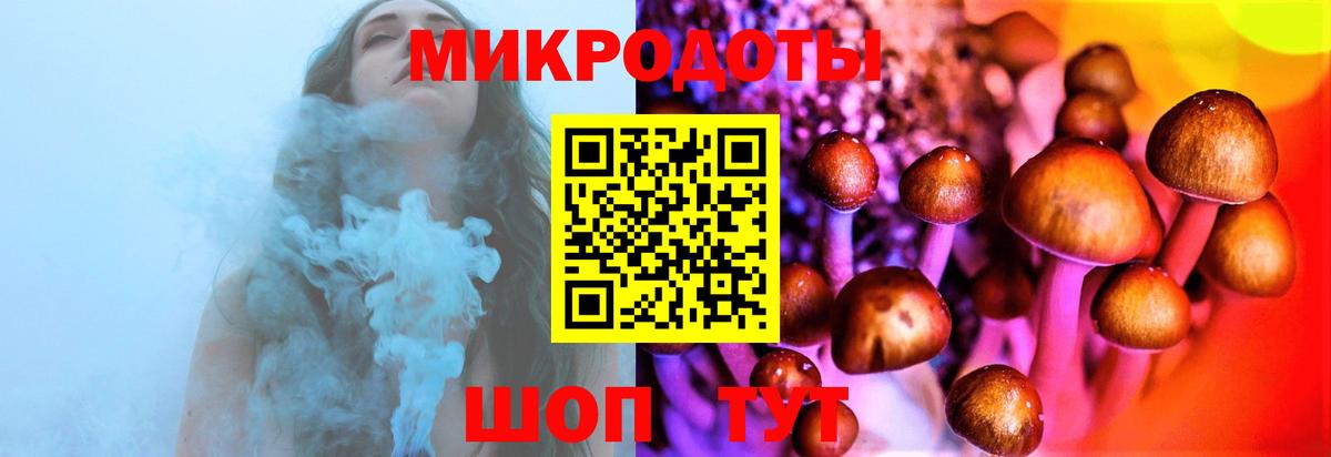Псилоцибиновые грибы Magic Shrooms Елабуга